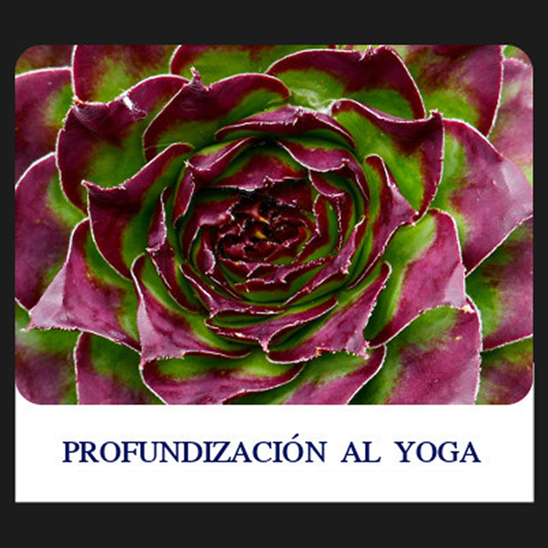 PROFUNDIZACIÓN EN YOGA